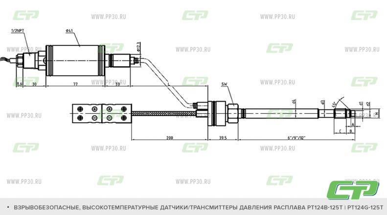 PT124B-125Т PT124G-125Т схема